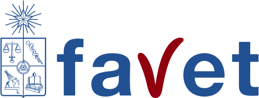 branding logo